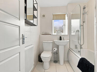 Picture 21